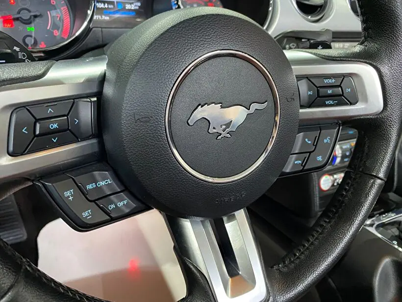 Ford Mustang 5.0 Ti-vct V8 GT, fotoğraf 20
