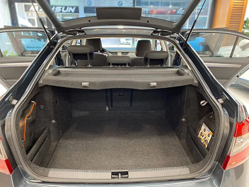Skoda Octavia Hatchback 1.6 TDI GreenTec Style DSG, fotoğraf 3