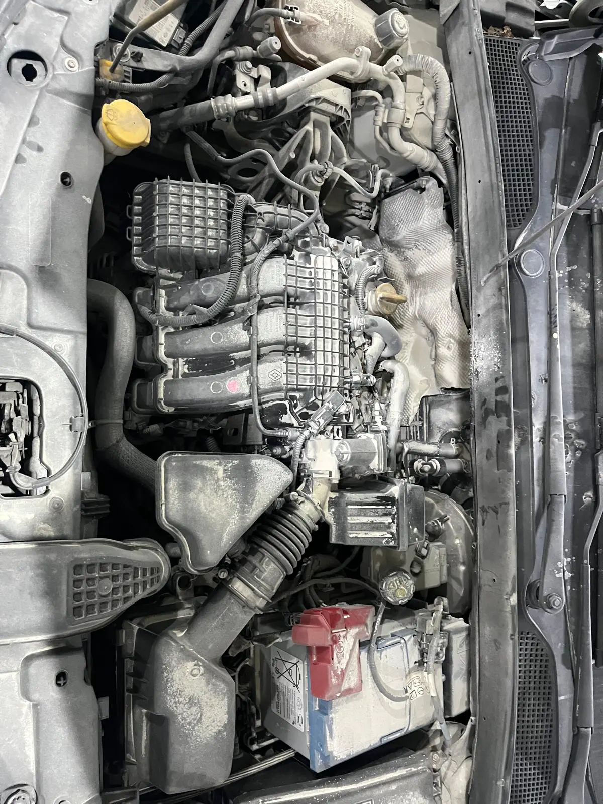 Renault Clio JOY 1.0 SCE 65 BG, fotoğraf 17