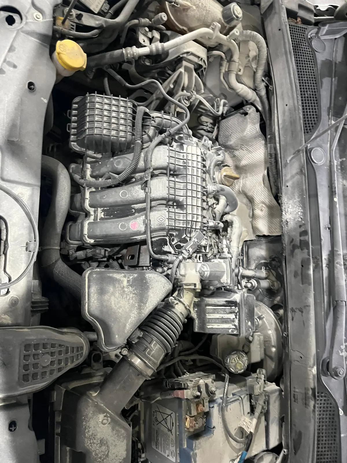 Renault Clio JOY 1.0 SCE 65 BG, fotoğraf 19