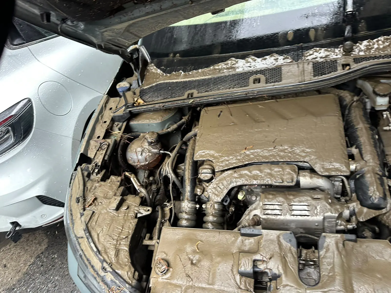 Citroen C4 X YOU 1.2 Puretech 130 EAT8, fotoğraf 7