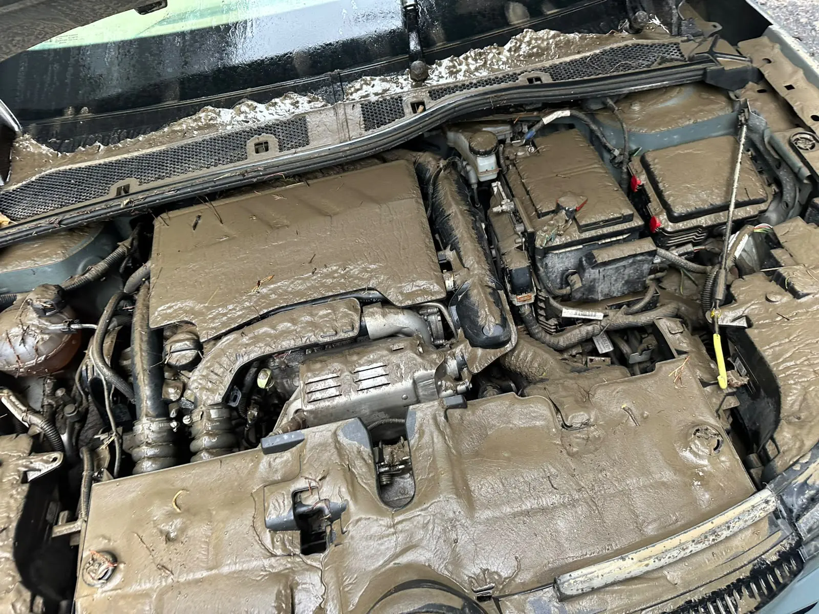 Citroen C4 X YOU 1.2 Puretech 130 EAT8, fotoğraf 8
